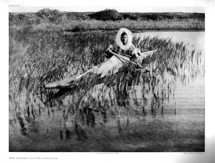 Man_paddling_kyak_kayak_in_weeds_along_shore(1)
